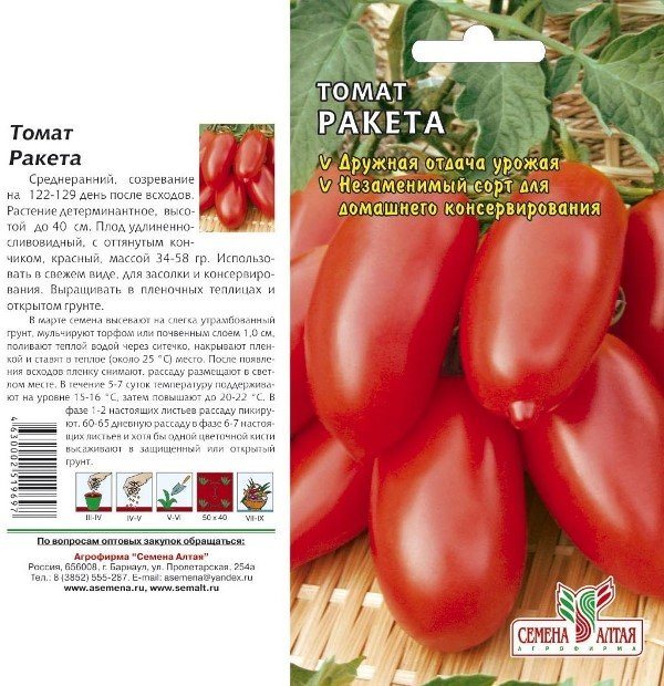 Домат Ракета: описание на популярен сорт домати, препоръчан за открита земя