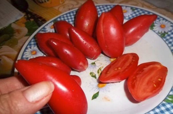 Tomato "Supermodel"