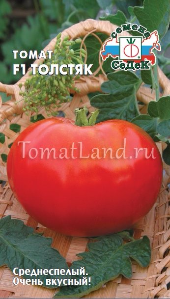 Tomat Noble Fat Man f1 beskrivning av sorten, dess avkastning och odling med ett foto