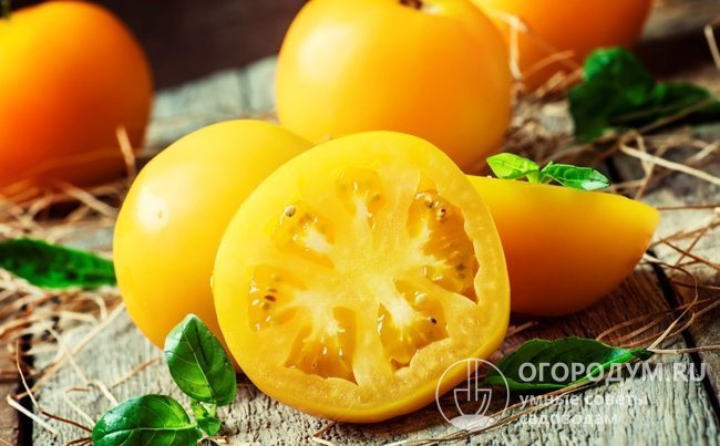 Tomato Golden Stream variety description yield and reviews with photos