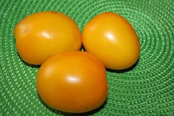 Tomaten goldene Kuppeln