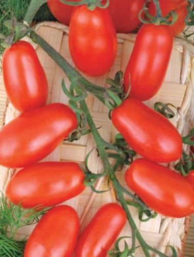Butang bersaiz tomato ceri