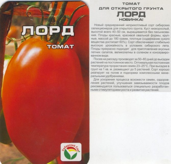 Lågväxande tomater utan att klämma Lord