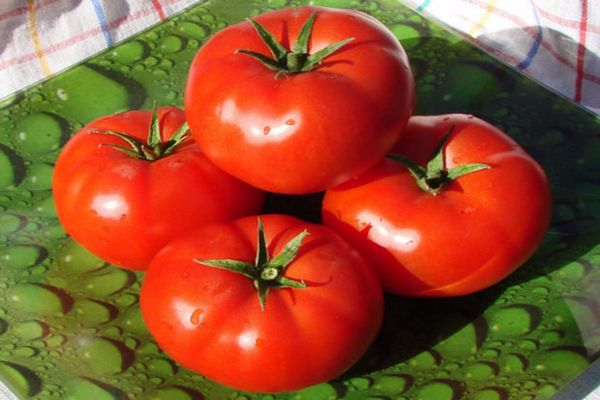 tomatoes against diseases