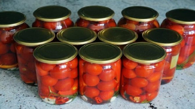 Topp 15 mest utsökta recept för konserverad tomat: hur man saltar tomater för vintern i burkar