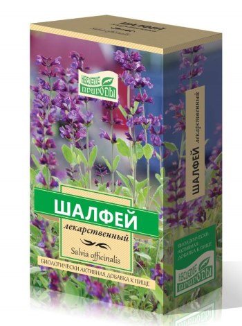 Sage herb. Description, photo, medicinal properties, from which it helps, application