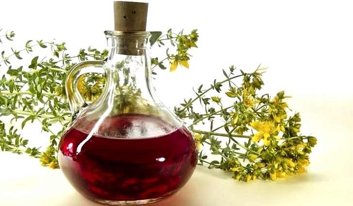 St. John's wort herb: photo, medicinal properties
