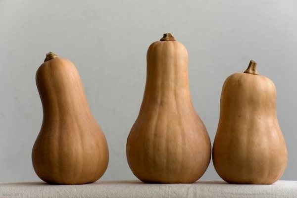 Pumpkin Pear-shaped: characteristics of the fruit