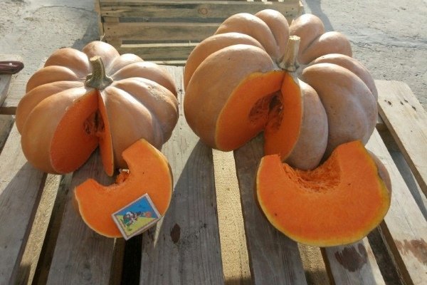 Pumpkin Muscat de Provence