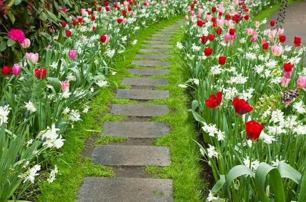 Tulpaner i trädgårdslandskap - en guide för vackert plantering av blommor