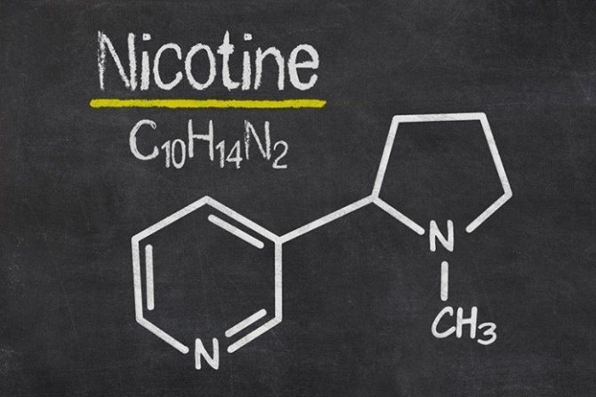 Убивайки паразити, никотинът запазва опасността си за домашния любимец, ако капките се използват неправилно.