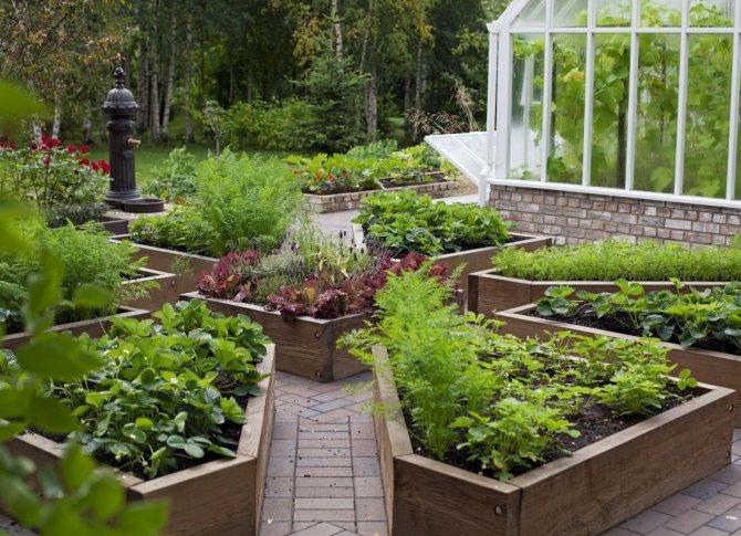 Bekväm trädgård för lata gör det själv: 6 arrangemangsregler