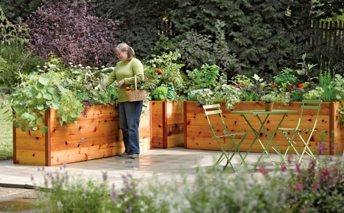 Convenient garden for the lazy do it yourself: 6 rules of arrangement