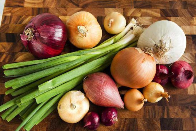fertilizer for onions when planting