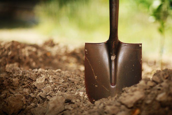 Hnojení půdy po sklizni