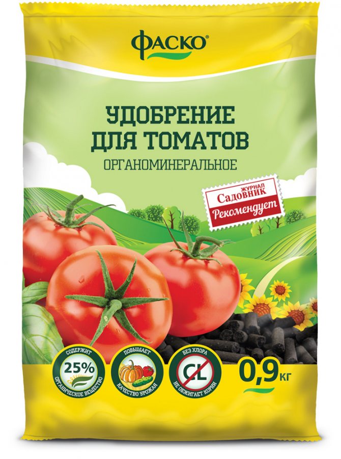 Fertilizer contributes to the maximum yield of tomatoes
