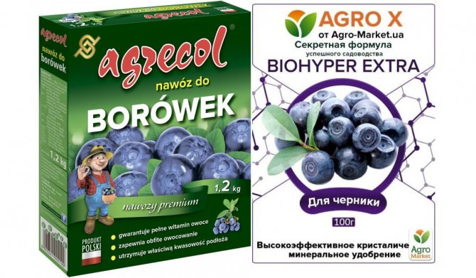 Fertilizers for blueberries