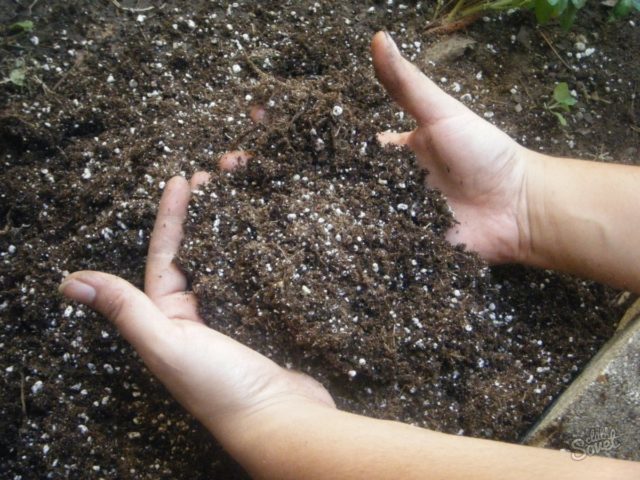 fertilized soil