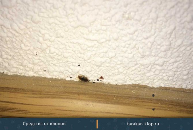 Apartment corners and skirting boards are not rubbed