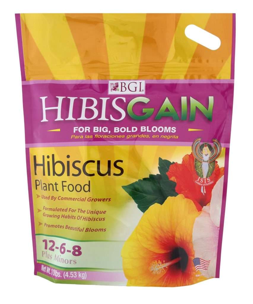 Home Hibiscus Care - A Comprehensive Photo Guide