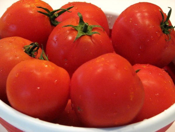 Ultra-tidigt mogna lågväxande sorter av tomater Sanka