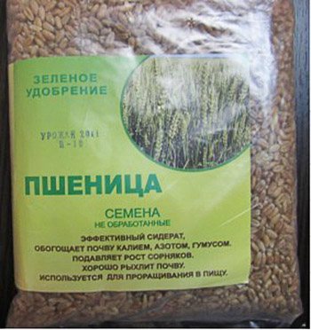 Balení pšeničných semen