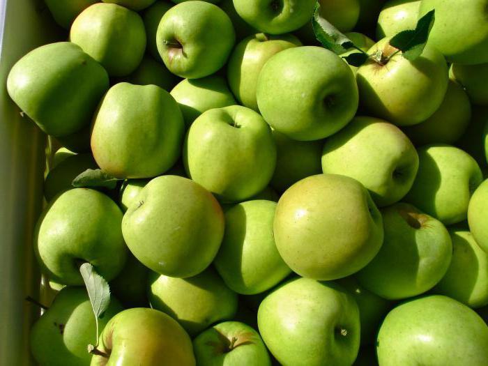 apple harvest mutsu