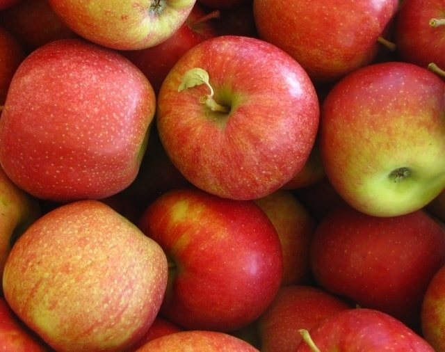 حصاد التفاح توباز