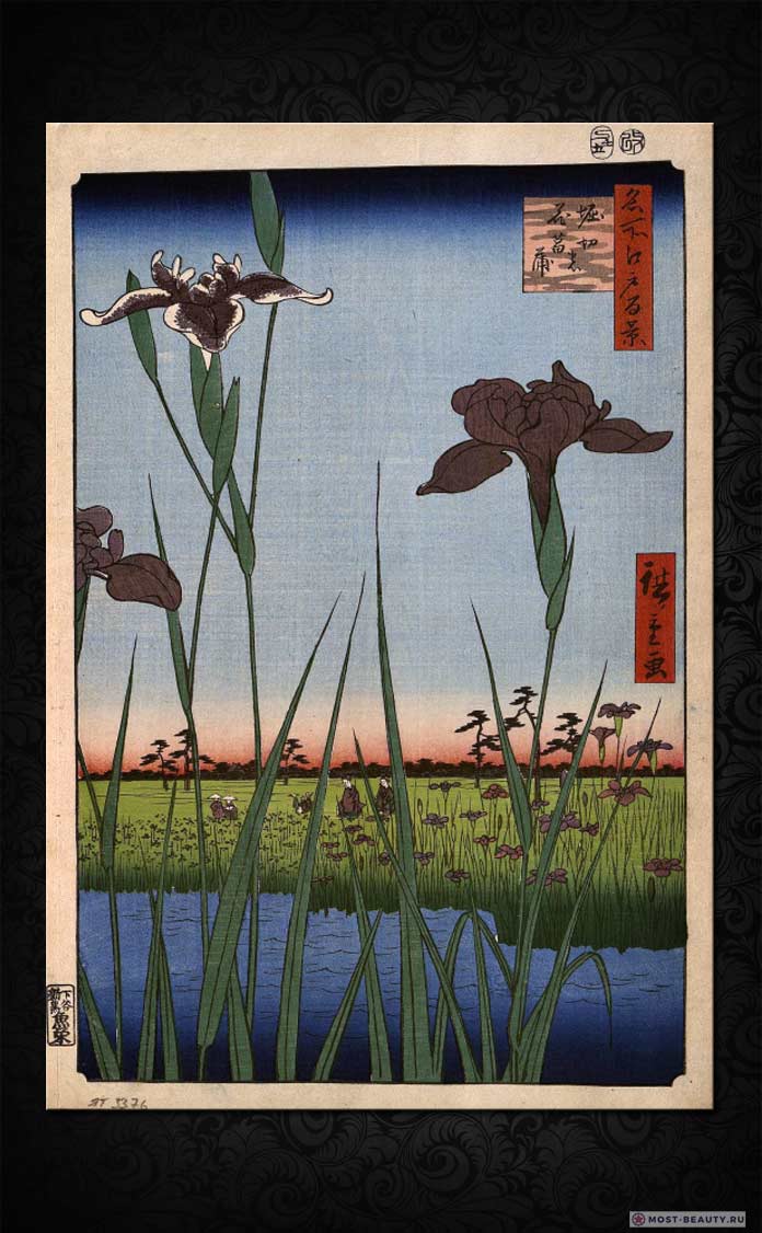 Utagawa Hiroshige - Irises in Horikiri