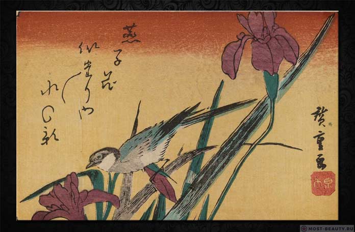 Utagawa Hiroshige - Wagtail și Iris