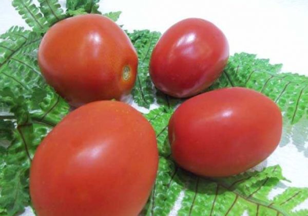 Som en behållare för att spara en tomat används lådor, burkar, halm, kylskåp