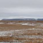 В Сибир повечето видове почви са добре дренирани.