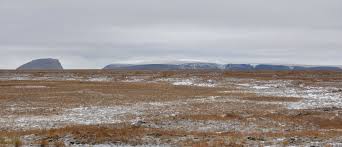 Na Sibiři je většina typů půdy dobře odvodněná.