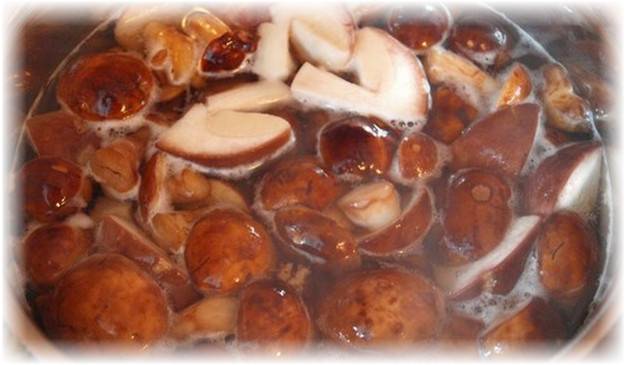 boiled porcini mushrooms