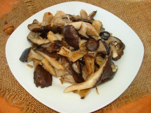 Fried oyster mushrooms with garlic. Delicious fried oyster mushrooms with onions - a simple recipe