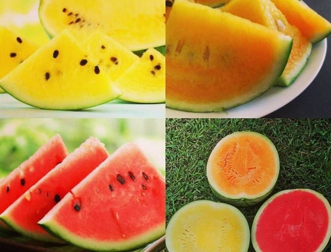 Typer av vattenmeloner