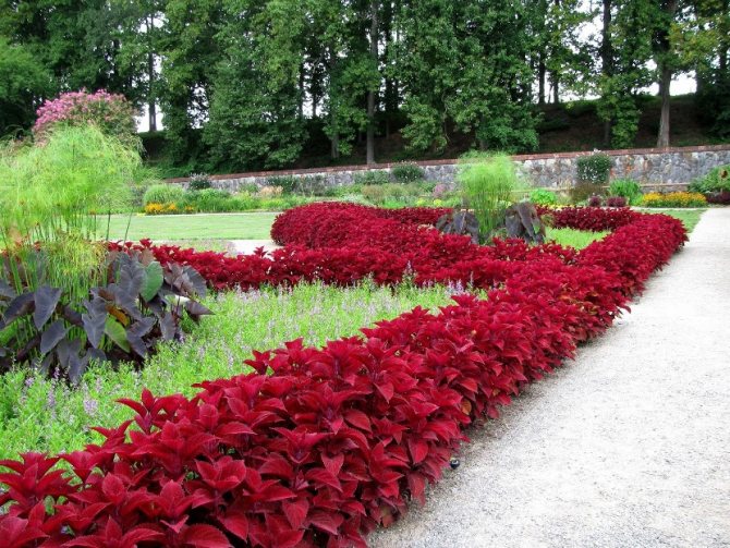 types of flower beds