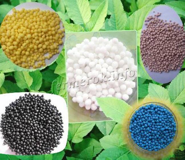 Types of mineral fertilizers
