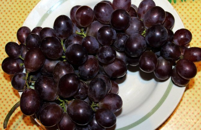 Maradonna grapes