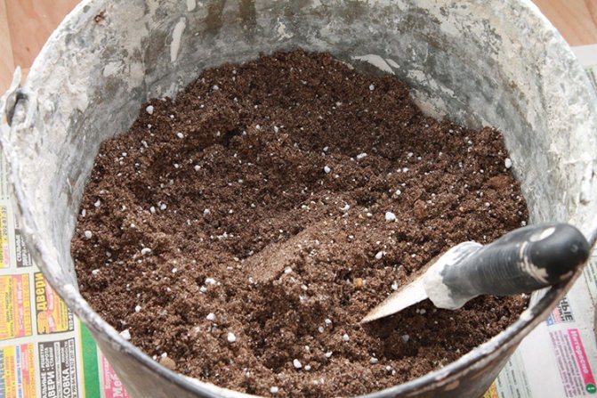 Грозде Super-Extra - почва