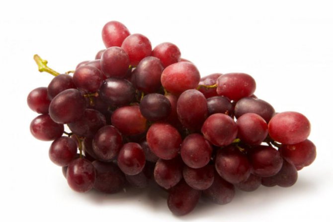 Taifi pink grapes - description and photo of the variety