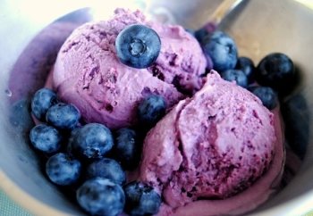 Delicious and healthy blueberry dishes