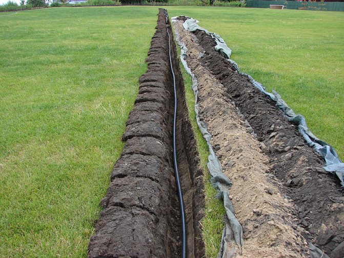 Subsoil watering Photo.