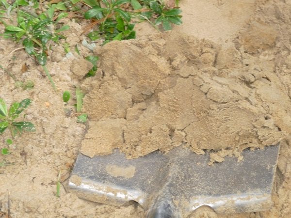 Обработка на пясъчна почва