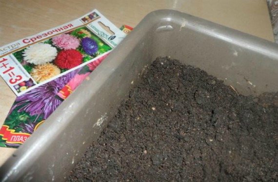 The choice of soil mixture