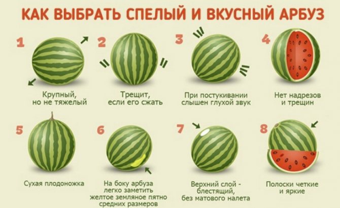 Val av mogen vattenmelon