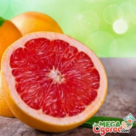Odla en grapefrukt hemma från ett ben