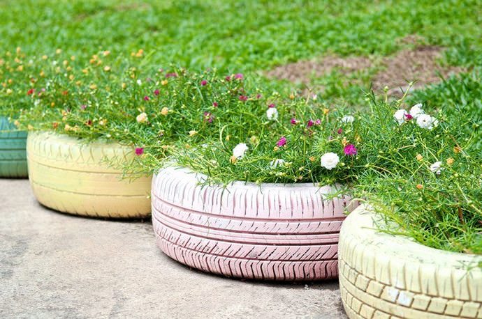 По-добре е да засаждате цветя от автомобилни гуми в цветни лехи, които ще радват с цъфтежа си през целия сезон