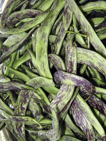 Mga kulot na asparagus beans ng iba't ibang Turchanka