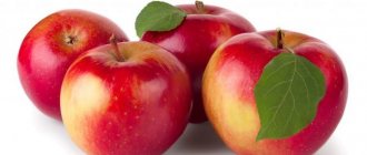 Gala jablka - rozmanité funkce